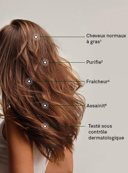 Les actions Shampooing Cheveux Gras