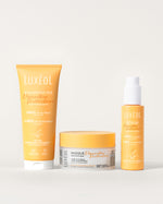 Protocole Réparateur Moléculaire