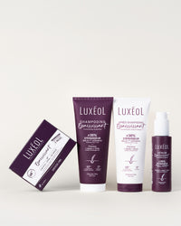 In & Out Thickening Routine for Normal Hair