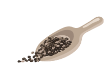 Graines de chia
